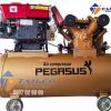 Máy nén khí chạy bằng dầu Diesel 15HP 1 cấp TM-W-1.6/8-500L