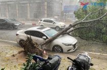Mưa bão gây ngã đỗ xe: Trường hợp nào được bồi thường?