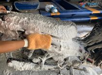 Những Sai Lầm Khi Pha Dung Dịch Rửa Xe Khiến Xe Nhanh Bạc Màu