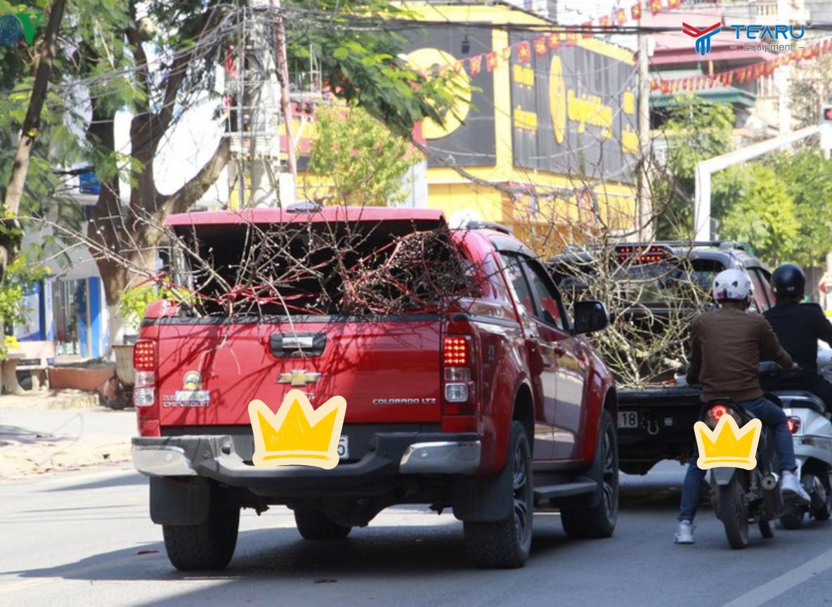 Chở Hoa Tết Trên Nóc Xe Ô Tô Bị Phạt Không? Quy Định Mới Nhất 2026 3 Cần hạn chế tốc độ khi chở cây để giữ an toàn