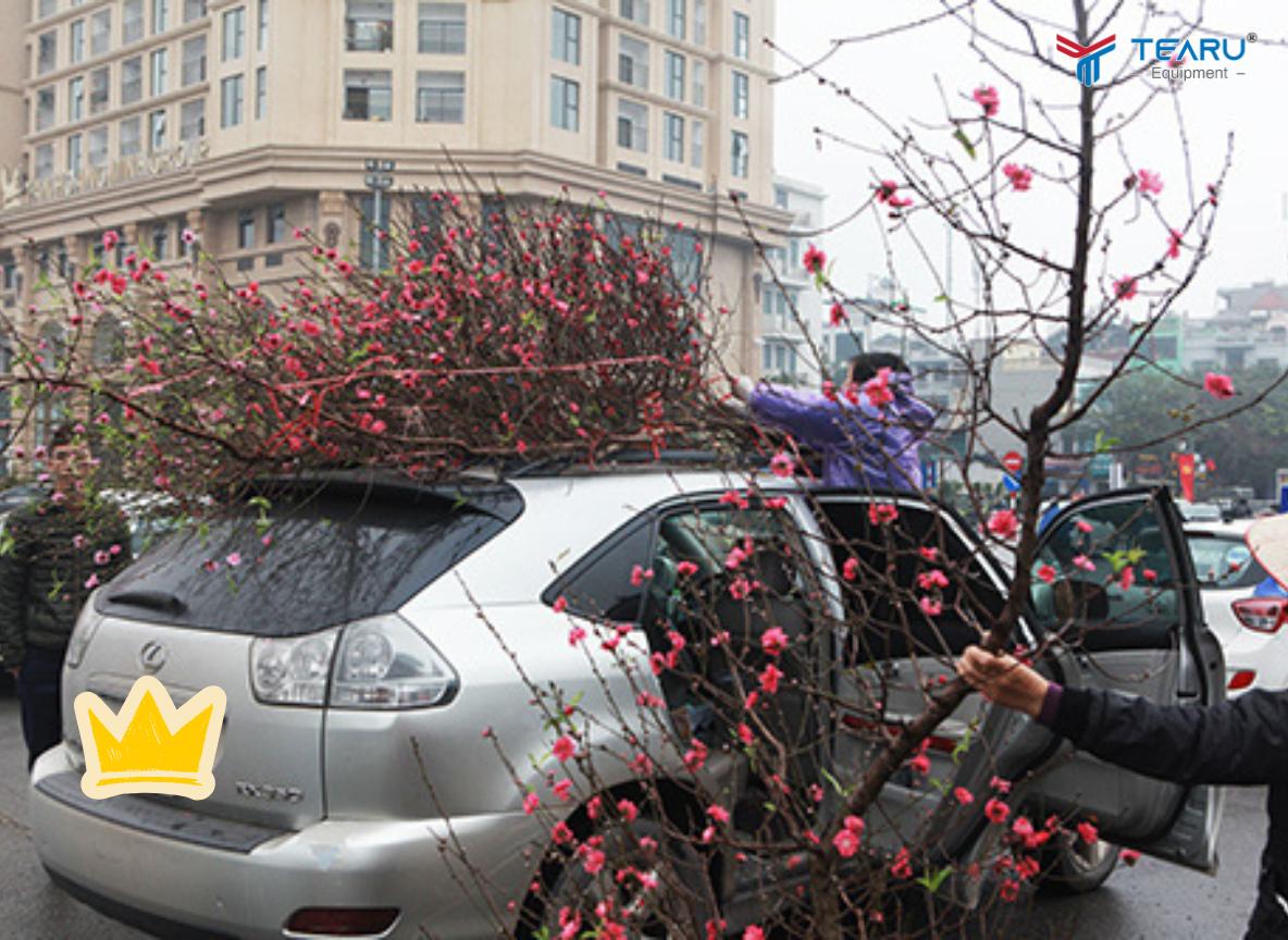 Chở Hoa Tết Trên Nóc Xe Ô Tô Bị Phạt Không? Quy Định Mới Nhất 2026 1 Chở Hoa Tết Trên Nóc Xe Ô Tô Bị Phạt Không? Quy Định Mới Nhất 2026