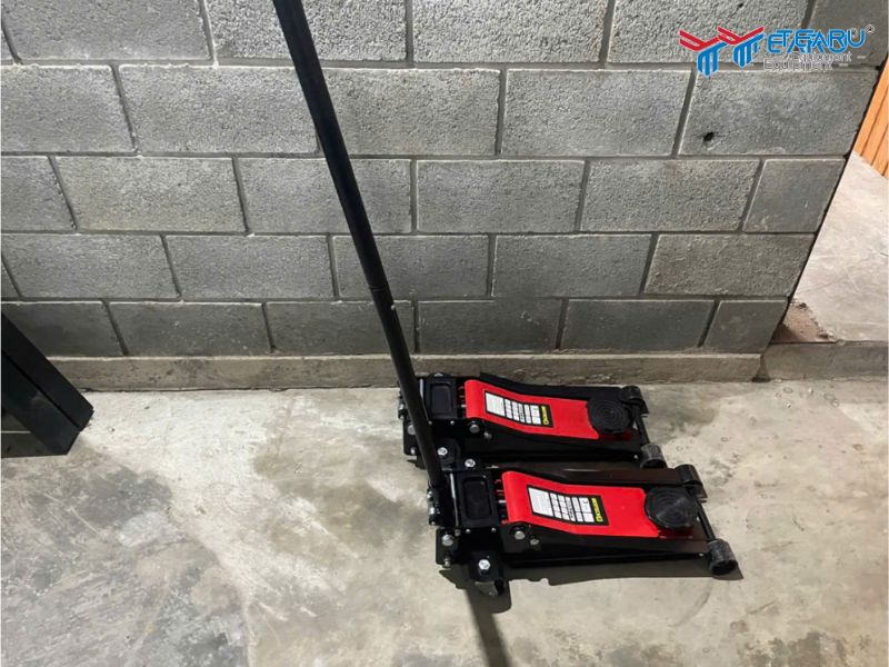 Mua kích cá sấu và mễ kê chất lượng chính hãng tại Tearu